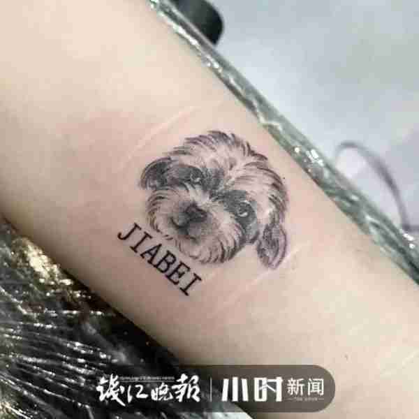 给自家猫狗办美容卡?花6000元做“双眼皮手术”?杭城宠物医生说出真相……