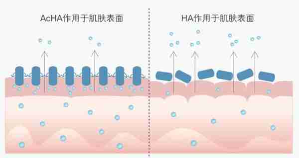 药学博士:护肤界“补水神器”透明质酸(玻尿酸),真的有用吗?