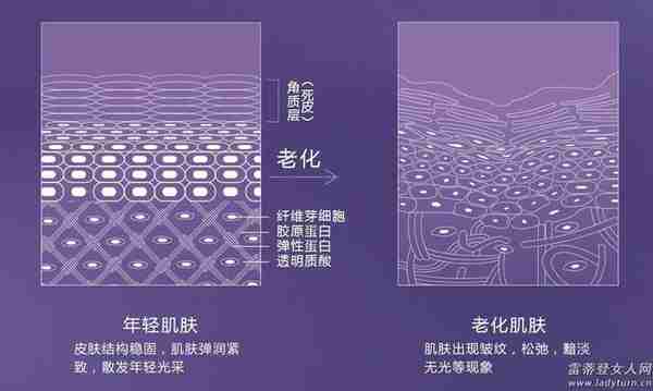 玻尿酸为什么这么受欢迎?进口玻尿酸的价格有多贵?