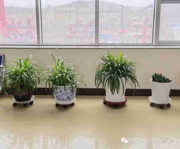 航天中心医院承德分院（承德市第六医院）平凡的工作，用心的守护——儿科的那点事