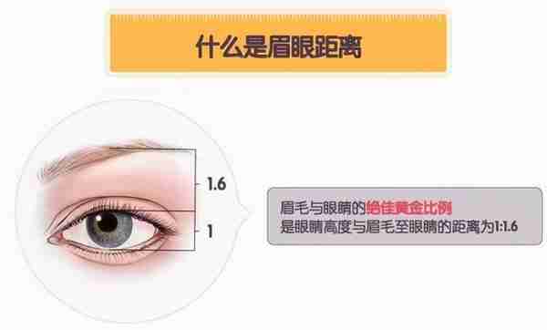 双眼皮是想做多宽就能做多宽吗?