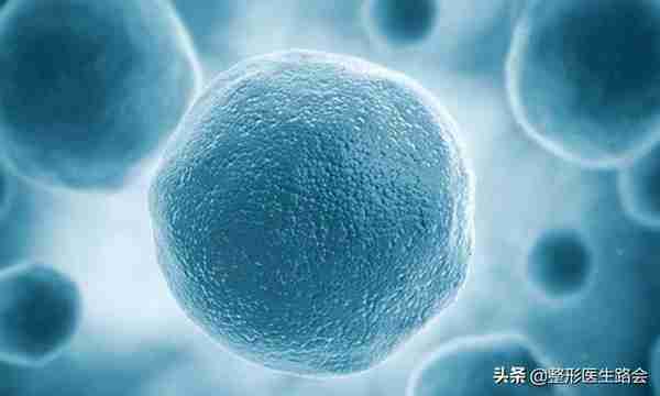 盘点3大类10种隆鼻材料,看看哪种最安全,效果保持最久?