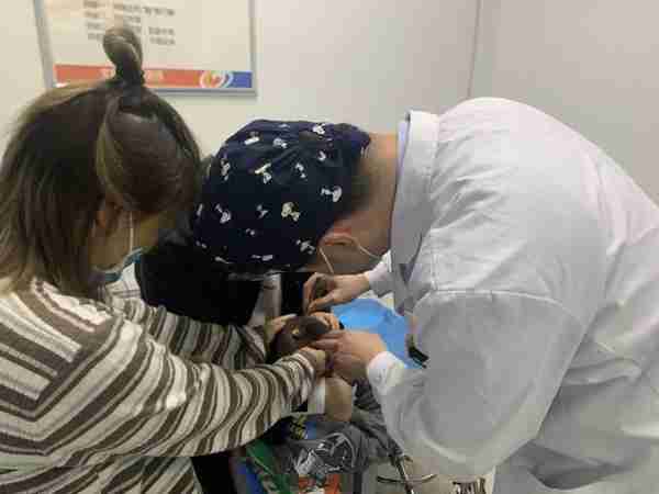 4岁幼童头顶瘢痕脱发 医生巧手让发“再生”