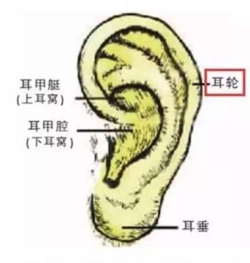 如此整形!取耳软骨做鼻头整形,鼻子好看了耳朵有个缺口 当事人:耳机都挂不住