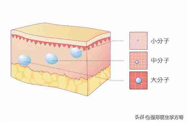 女明星都爱的美容宠儿:玻尿酸的作用与功效是什么?