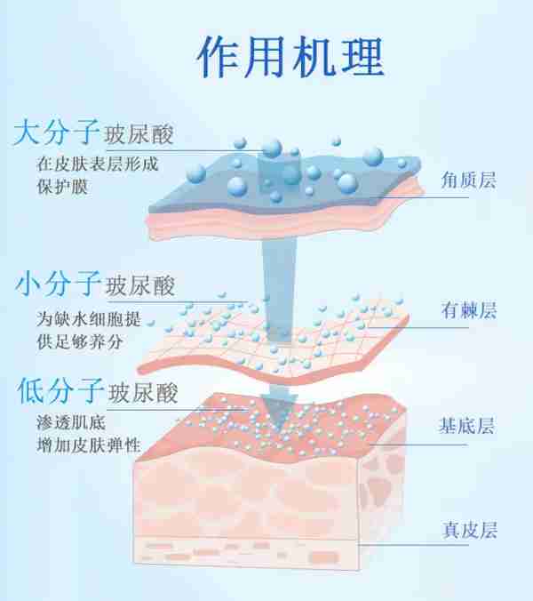 嘴上经常脱口而出的“玻尿酸”,你真的了解它吗?