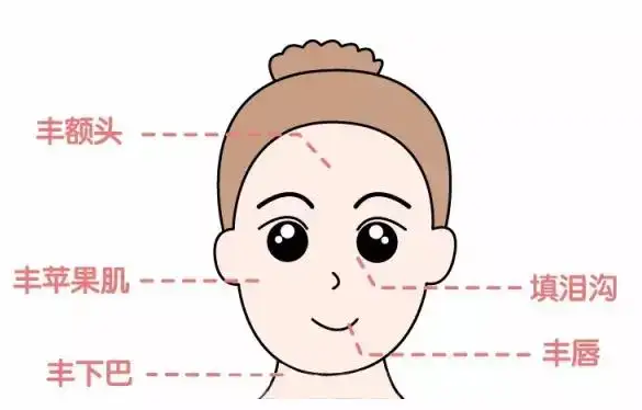 嘴上经常脱口而出的“玻尿酸”,你真的了解它吗?