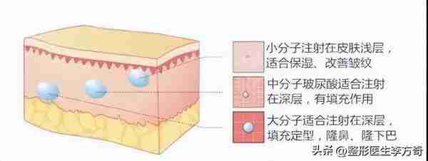 女明星都爱的美容宠儿:玻尿酸的作用与功效是什么?
