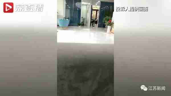 花6万元吸脂后皮肤坏死,双腿凹凸不平!还没修复好,整形医院去哪了?