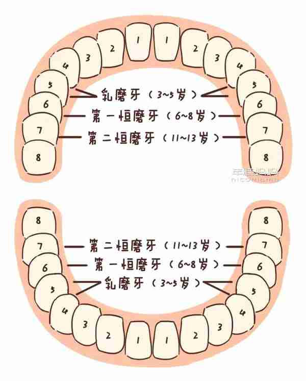 10个五岁小孩里面，就有7个有蛀牙