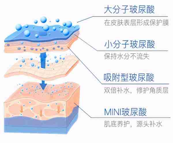 药学博士:护肤界“补水神器”透明质酸(玻尿酸),真的有用吗?