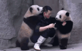 这支淬满了剧毒的针，你被打了还得说谢谢