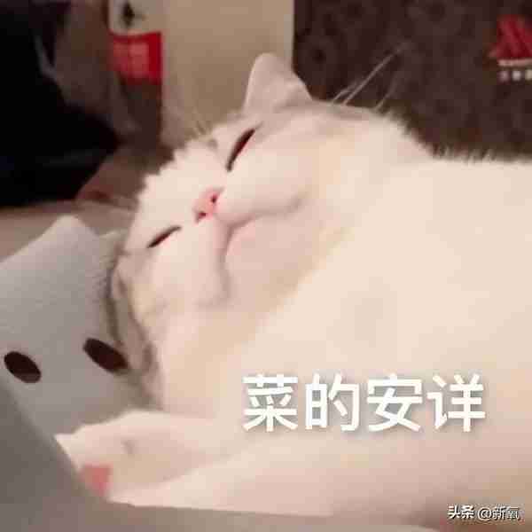 烧到40度会把我的玻尿酸溶掉吗?