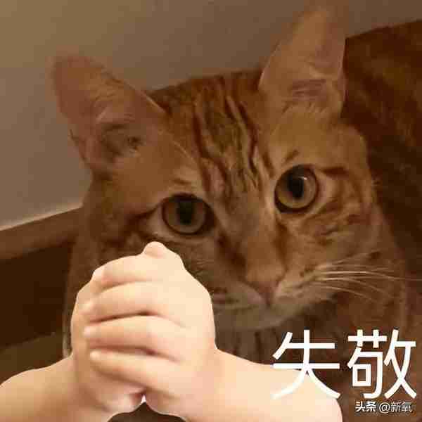 烧到40度会把我的玻尿酸溶掉吗?