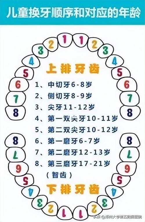 儿童换牙学问大,这些知识点请各位家长牢记