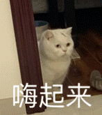 烧到40度会把我的玻尿酸溶掉吗?